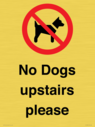 no-dogs-upstairs-please-~